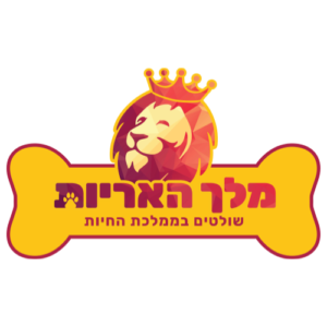 Lion King | מלך האריות